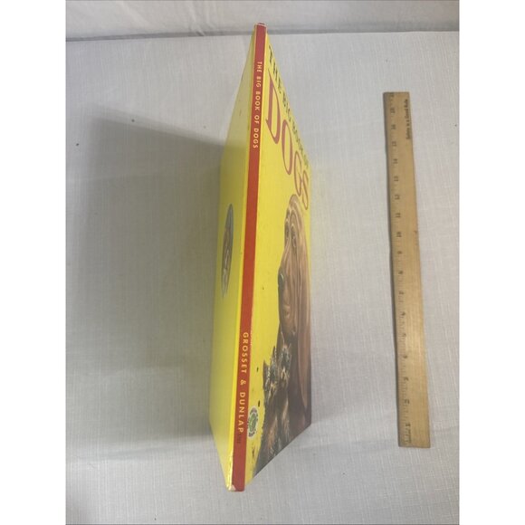 Vintage The Big Book Of Dogs 1952 HC By Felix Sutton Antique HTF Children’s Kids - Picture 10 of 16